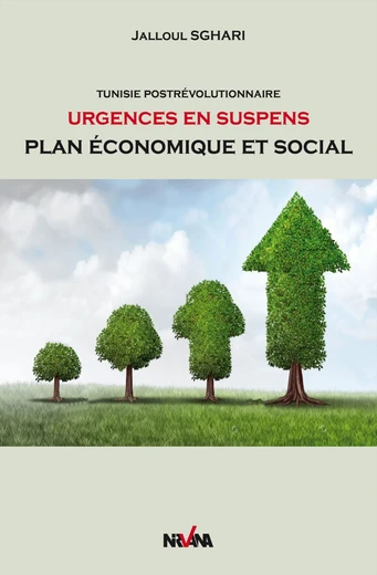 Cover of Tunisie Post-révolutionnaire, urgences en suspens